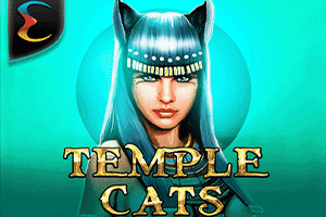 Temple Cats